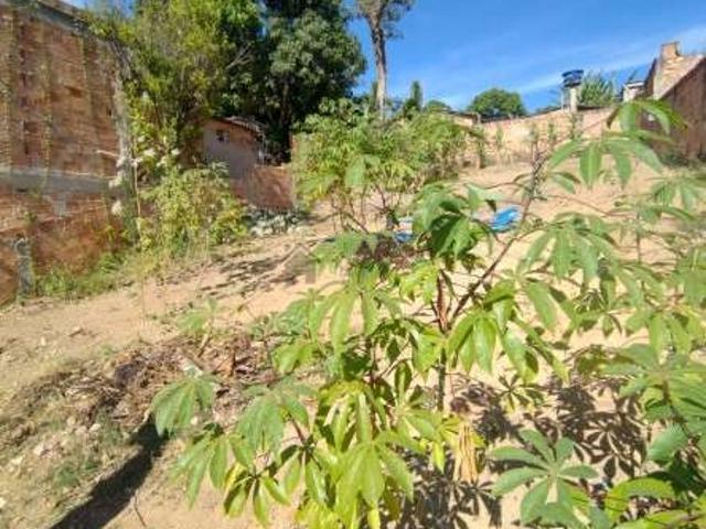 Terreno / Lote para Venda em Contagem/MG Vila Renascer