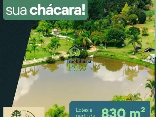 Terreno / Lote para Venda em Contenda/PR Cardoso
