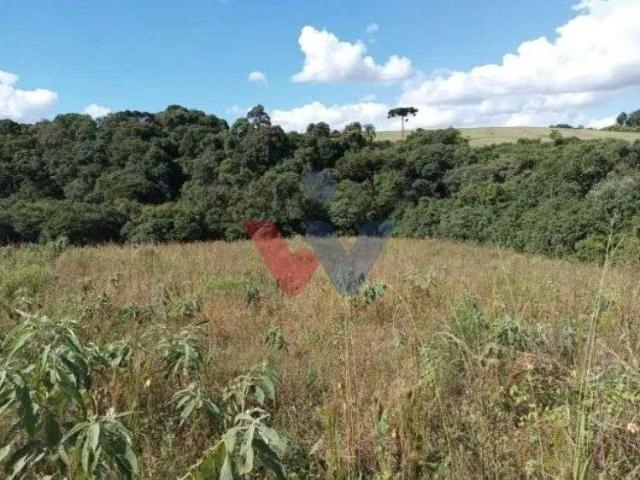 Terreno / Lote para Venda em Contenda/PR Centro