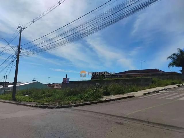 Terreno / Lote para Venda em Contenda/PR Centro
