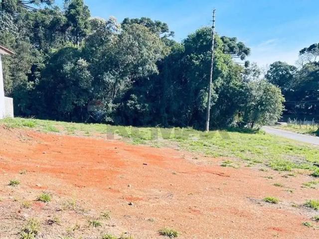 Terreno / Lote para Venda em Contenda/PR Centro