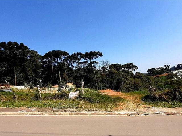 Terreno / Lote para Venda em Contenda/PR Jardim São João