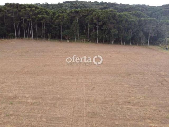 Terreno / Lote para Venda em Contenda/PR Paulista