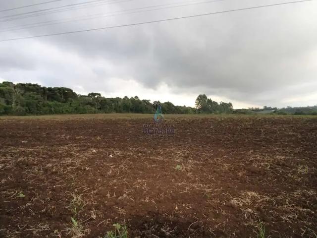 Terreno / Lote para Venda em Contenda/PR São João