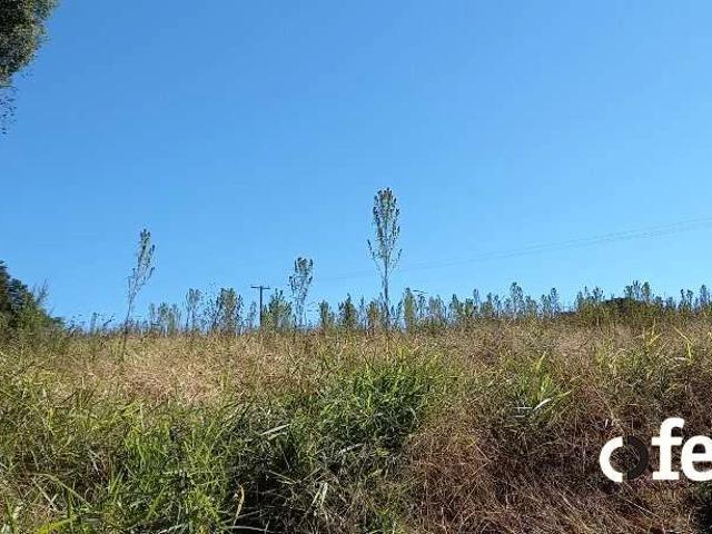 Terreno / Lote para Venda em Contenda/PR Serrinha