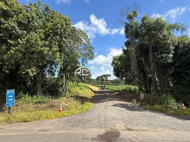 Terreno / Lote para Venda em Contenda/PR Serrinha