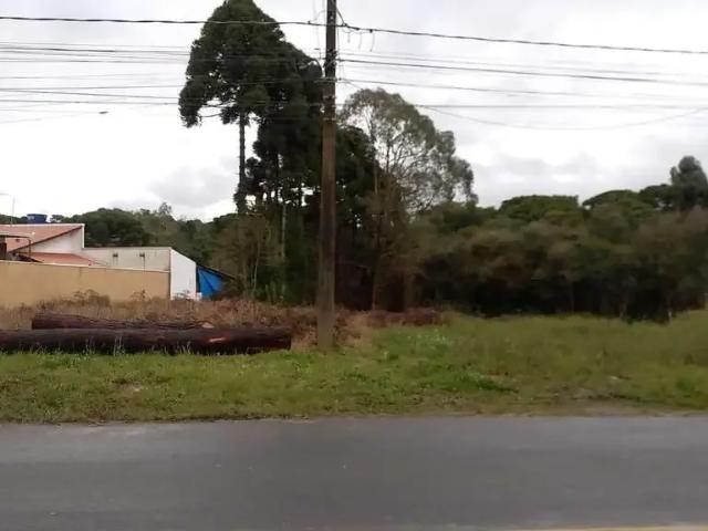Terreno / Lote para Venda em Contenda/PR Serrinha