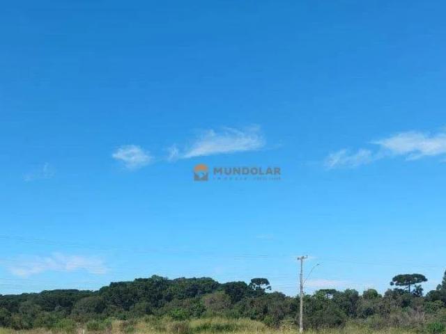 Terreno / Lote para Venda em Contenda/PR Zona Rural