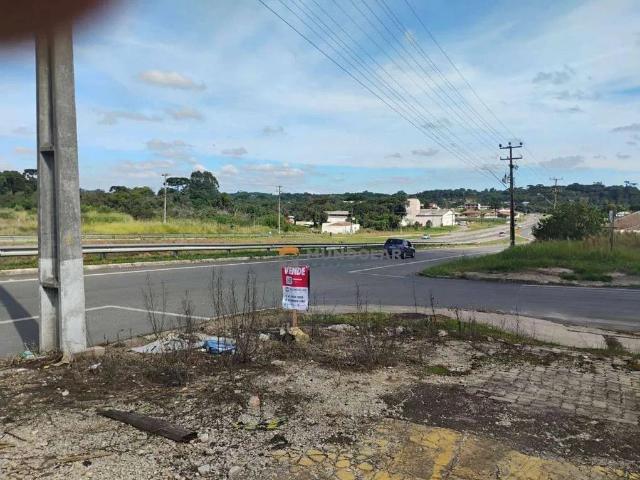 Terreno / Lote para Venda em Contenda/PR Zona Rural