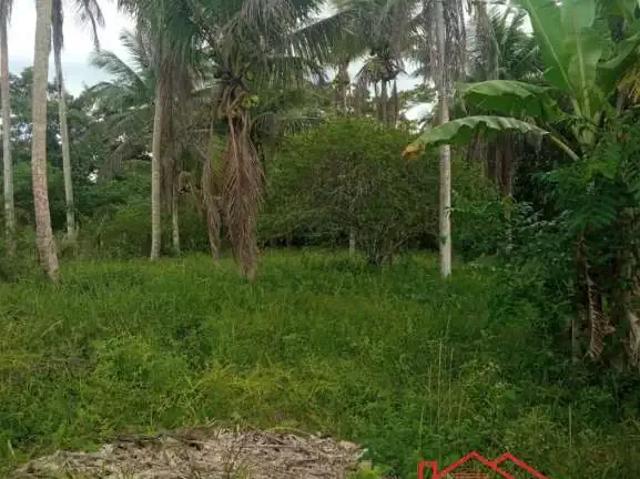 Terreno / Lote para Venda em Conceição da Feira/BA Centro