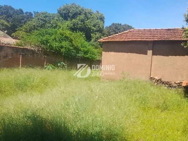 Terreno / Lote para Venda em Conceição das Alagoas/MG Centro