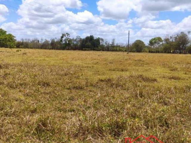 Terreno / Lote para Venda em Conceição do Jacuípe/BA Centro