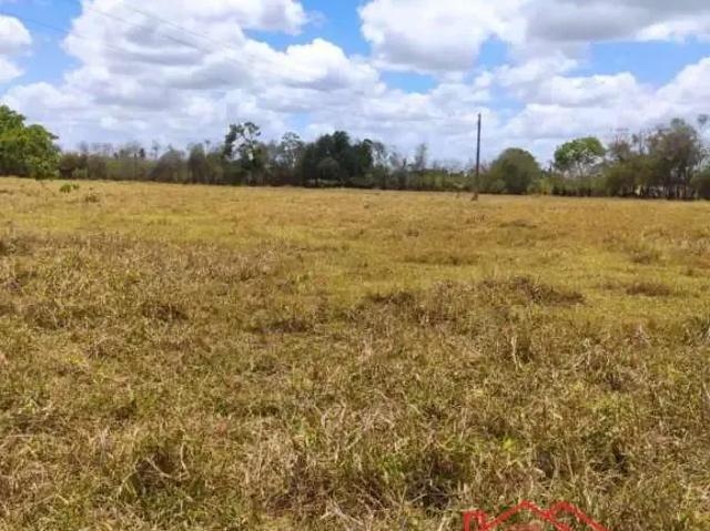 Terreno / Lote para Venda em Conceição do Jacuípe/BA Centro