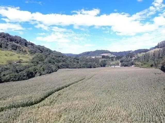 Terreno / Lote para Venda em Concórdia/SC Centro