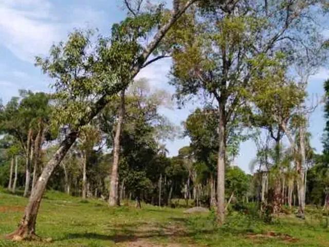 Terreno / Lote para Venda em Concórdia/SC Centro