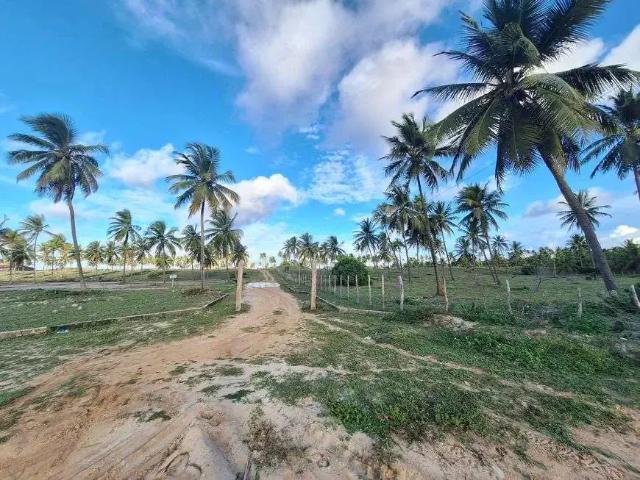 Terreno / Lote para Venda em Conde/BA Sítio do Conde