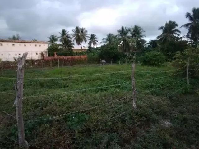 Terreno / Lote para Venda em Conde/BA Sítio do Conde