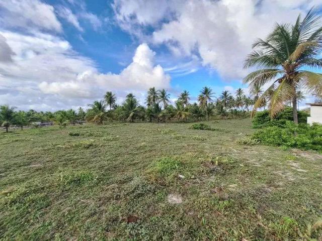Terreno / Lote para Venda em Conde/BA Sítio do Conde