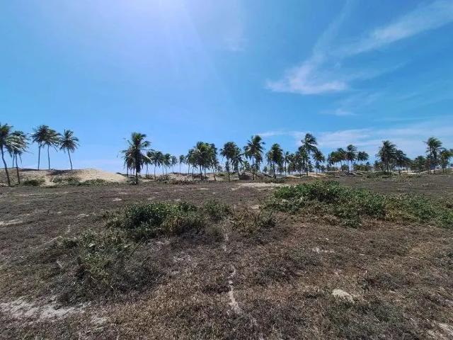 Terreno / Lote para Venda em Conde/BA Sítio do Conde