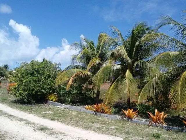 Terreno / Lote para Venda em Conde/BA Sítio do Conde