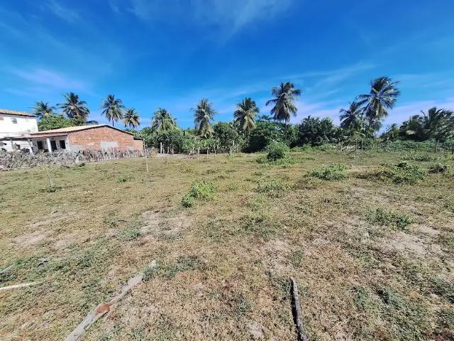 Terreno / Lote para Venda em Conde/BA Sítio do Conde