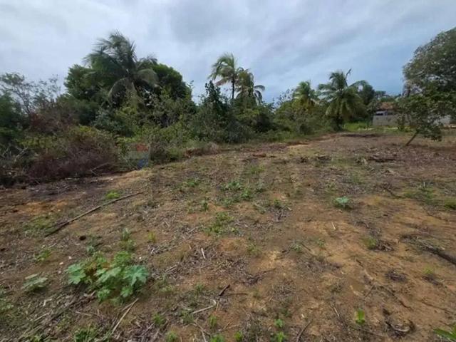 Terreno / Lote para Venda em Conde/PB Carapibus
