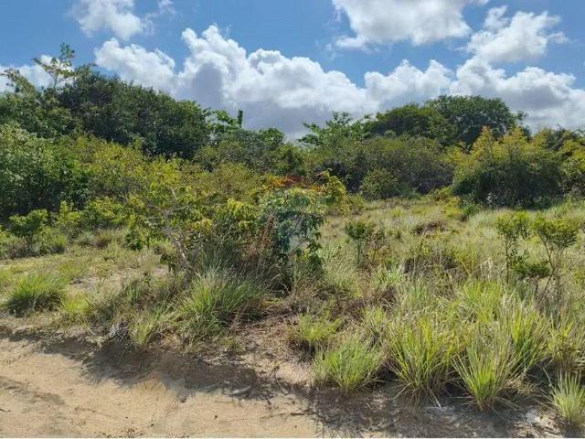 Terreno / Lote para Venda em Conde/PB Carapibus