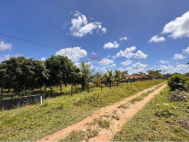Terreno / Lote para Venda em Conde/PB Centro