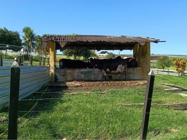 Terreno / Lote para Venda em Conde/PB Centro