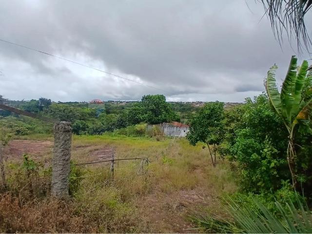 Terreno / Lote para Venda em Conde/PB Cidade Balneária Novo Mundo I 1 Quartos