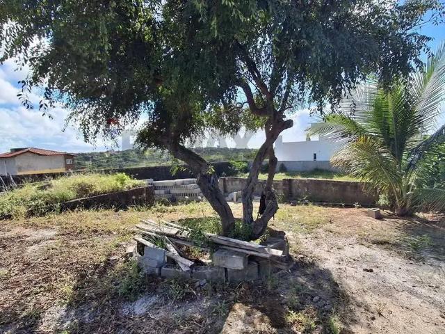 Terreno / Lote para Venda em Conde/PB Cidade Balneária Novo Mundo I