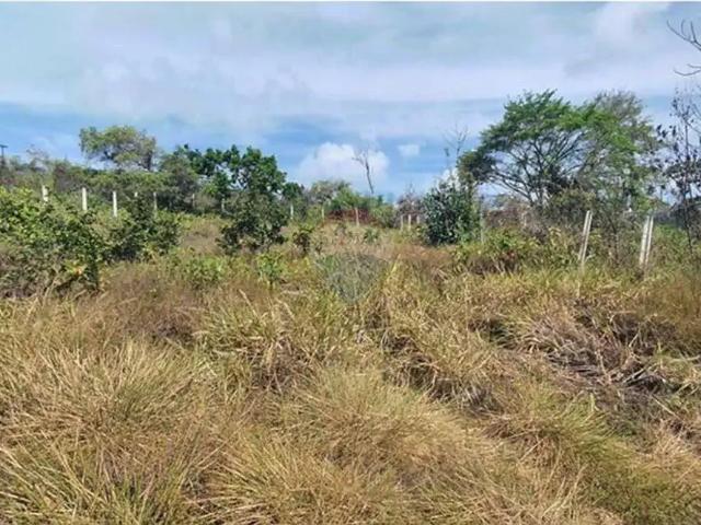 Terreno / Lote para Venda em Conde/PB Cidade Balneária Novo Mundo I