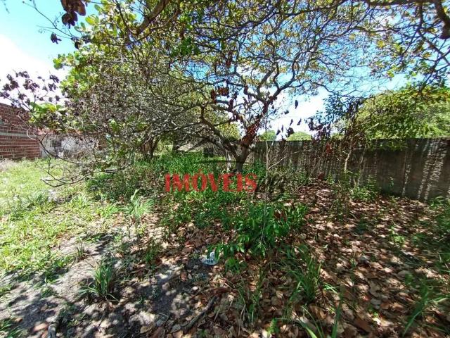 Terreno / Lote para Venda em Conde/PB Jacumã