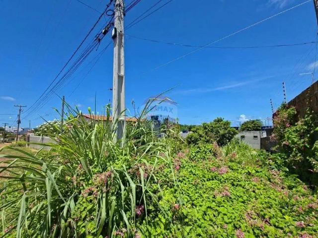 Terreno / Lote para Venda em Conde/PB Jacumã