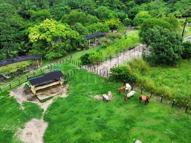 Terreno / Lote para Venda em Conde/PB Jacumã