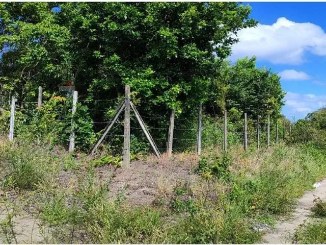 Terreno / Lote para Venda em Conde/PB Jacumã