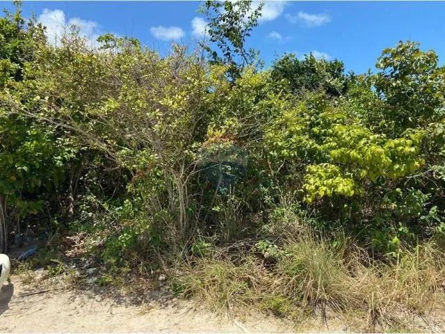 Terreno / Lote para Venda em Conde/PB Praia do Amor