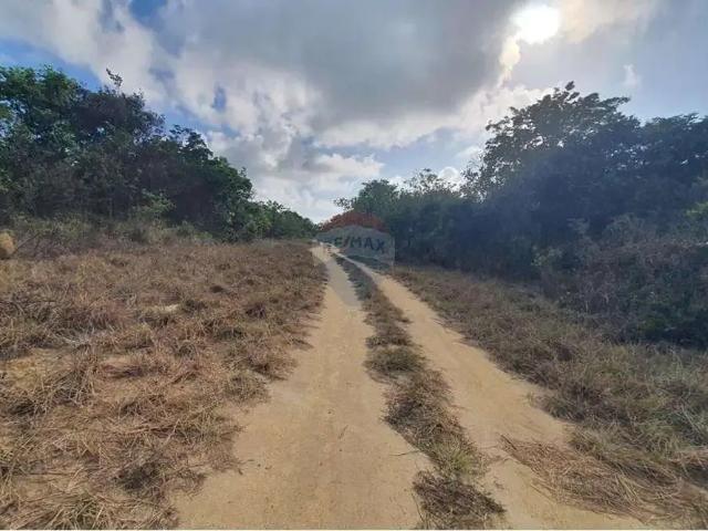 Terreno / Lote para Venda em Conde/PB Tambaba