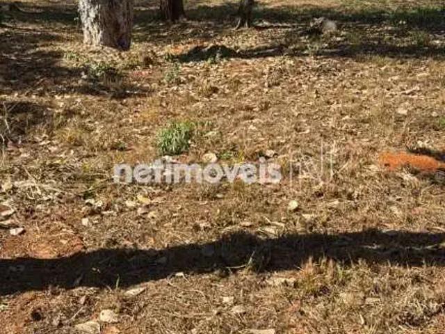 Terreno / Lote para Venda em Confins/MG Gran Royalle Aeroporto