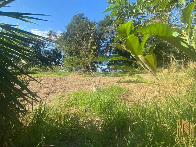 Terreno / Lote para Venda em Congonhal/MG Coutinhos