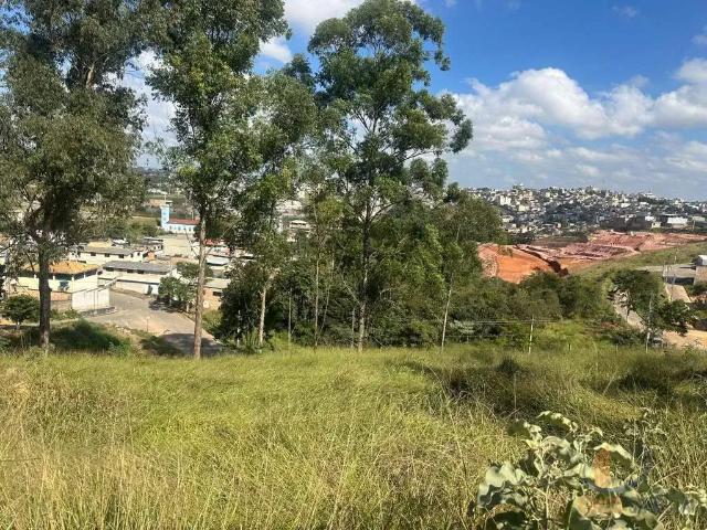 Terreno / Lote para Venda em Conselheiro Lafaiete/MG Monte Cristo