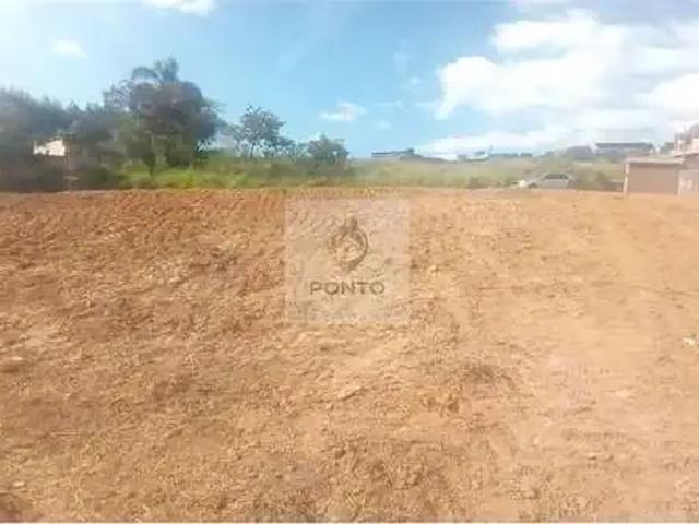 Terreno / Lote para Venda em Conselheiro Lafaiete/MG Amaro Ribeiro
