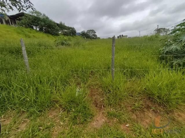 Terreno / Lote para Venda em Conselheiro Lafaiete/MG Amaro Ribeiro