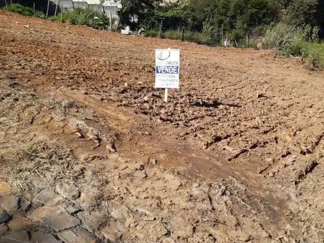 Terreno / Lote para Venda em Conselheiro Lafaiete/MG Amaro Ribeiro