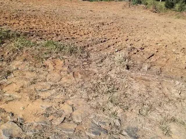 Terreno / Lote para Venda em Conselheiro Lafaiete/MG Amaro Ribeiro