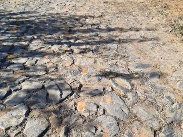 Terreno / Lote para Venda em Conselheiro Lafaiete/MG Amaro Ribeiro