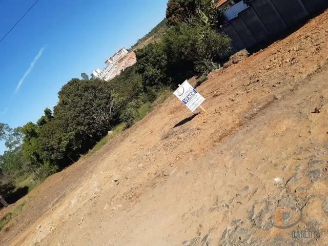Terreno / Lote para Venda em Conselheiro Lafaiete/MG Amaro Ribeiro