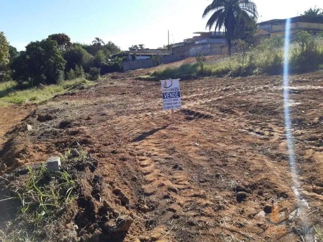 Terreno / Lote para Venda em Conselheiro Lafaiete/MG Amaro Ribeiro