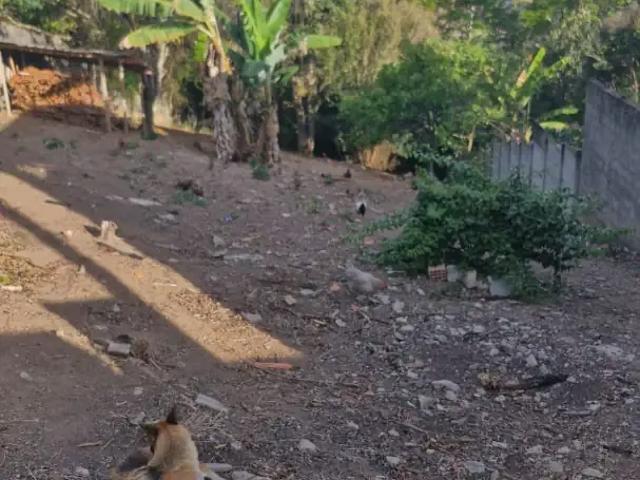 Terreno / Lote para Venda em Conselheiro Lafaiete/MG Cachoeira