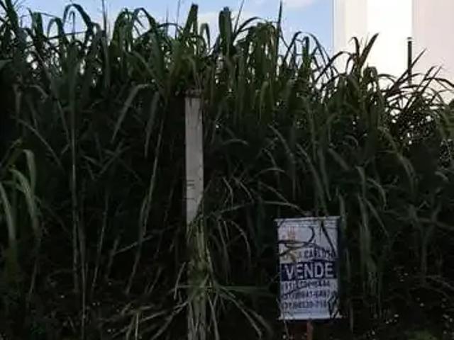 Terreno / Lote para Venda em Conselheiro Lafaiete/MG Campo Alegre